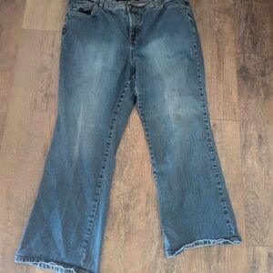 Gloria Vanderbilt The Perfect Fit blue Jeans Size 18w